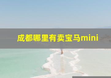 成都哪里有卖宝马mini