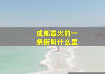 成都最火的一条街叫什么里