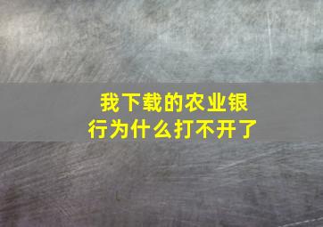 我下载的农业银行为什么打不开了