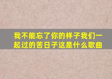 我不能忘了你的样子我们一起过的苦日子这是什么歌曲