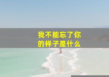 我不能忘了你的样子是什么