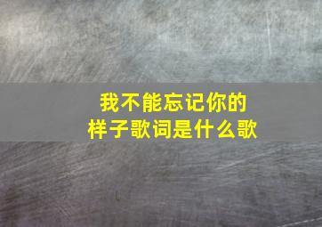 我不能忘记你的样子歌词是什么歌