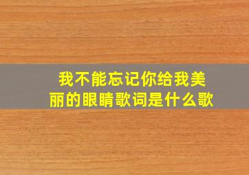 我不能忘记你给我美丽的眼睛歌词是什么歌