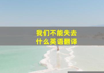 我们不能失去什么英语翻译