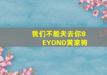 我们不能失去你BEYOND黄家驹