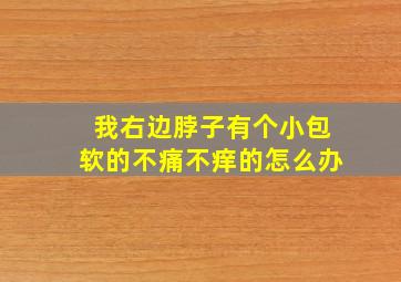 我右边脖子有个小包软的不痛不痒的怎么办