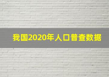 我国2020年人口普查数据