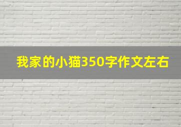 我家的小猫350字作文左右