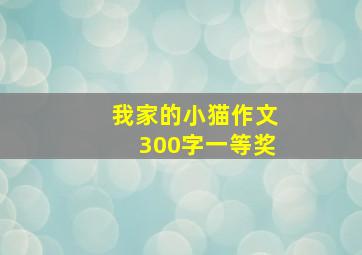 我家的小猫作文300字一等奖