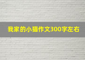 我家的小猫作文300字左右