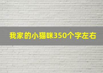 我家的小猫咪350个字左右