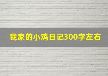 我家的小鸡日记300字左右