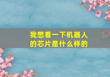 我想看一下机器人的芯片是什么样的