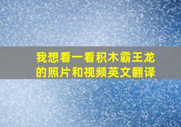 我想看一看积木霸王龙的照片和视频英文翻译