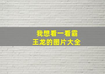 我想看一看霸王龙的图片大全