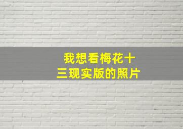 我想看梅花十三现实版的照片