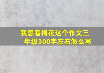 我想看梅花这个作文三年级300字左右怎么写