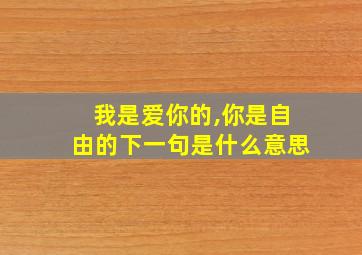 我是爱你的,你是自由的下一句是什么意思