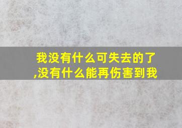 我没有什么可失去的了,没有什么能再伤害到我