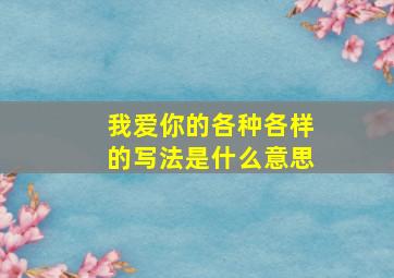 我爱你的各种各样的写法是什么意思