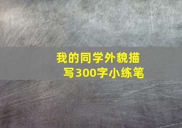 我的同学外貌描写300字小练笔