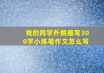 我的同学外貌描写300字小练笔作文怎么写