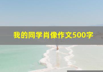 我的同学肖像作文500字