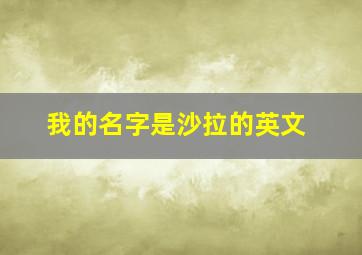 我的名字是沙拉的英文