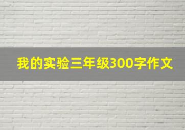 我的实验三年级300字作文