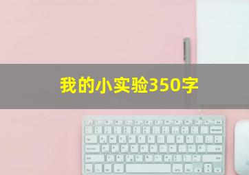 我的小实验350字