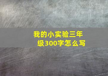 我的小实验三年级300字怎么写