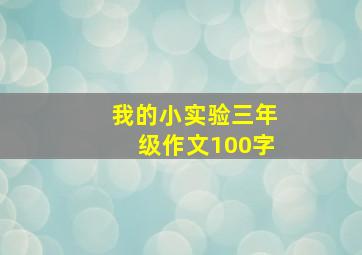 我的小实验三年级作文100字