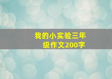 我的小实验三年级作文200字