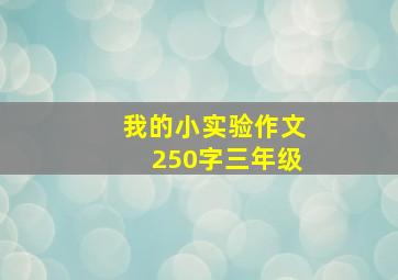 我的小实验作文250字三年级