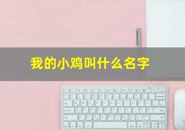 我的小鸡叫什么名字