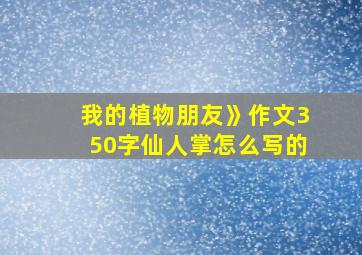 我的植物朋友》作文350字仙人掌怎么写的