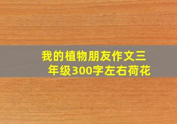 我的植物朋友作文三年级300字左右荷花