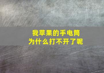 我苹果的手电筒为什么打不开了呢