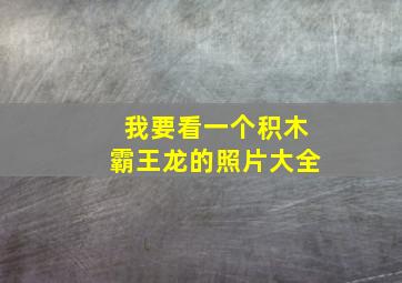 我要看一个积木霸王龙的照片大全