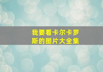 我要看卡尔卡罗斯的图片大全集