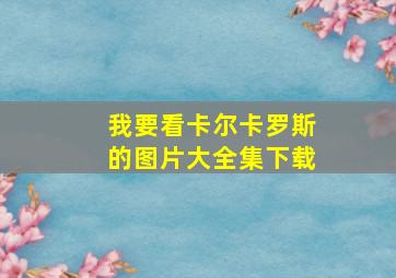 我要看卡尔卡罗斯的图片大全集下载