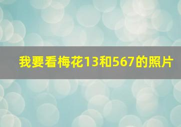 我要看梅花13和567的照片