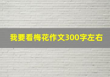 我要看梅花作文300字左右