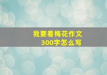 我要看梅花作文300字怎么写