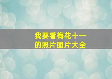 我要看梅花十一的照片图片大全