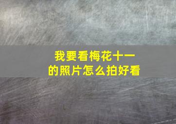 我要看梅花十一的照片怎么拍好看