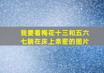 我要看梅花十三和五六七躺在床上亲密的图片