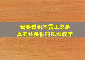 我要看积木霸王龙是真的还是假的视频教学