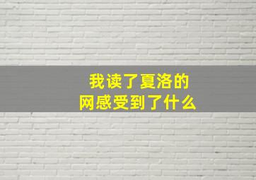 我读了夏洛的网感受到了什么