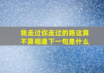 我走过你走过的路这算不算相逢下一句是什么